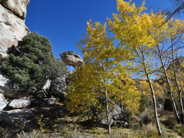 Walk this geologic wonder. Photo Credit: Scott Marchant.