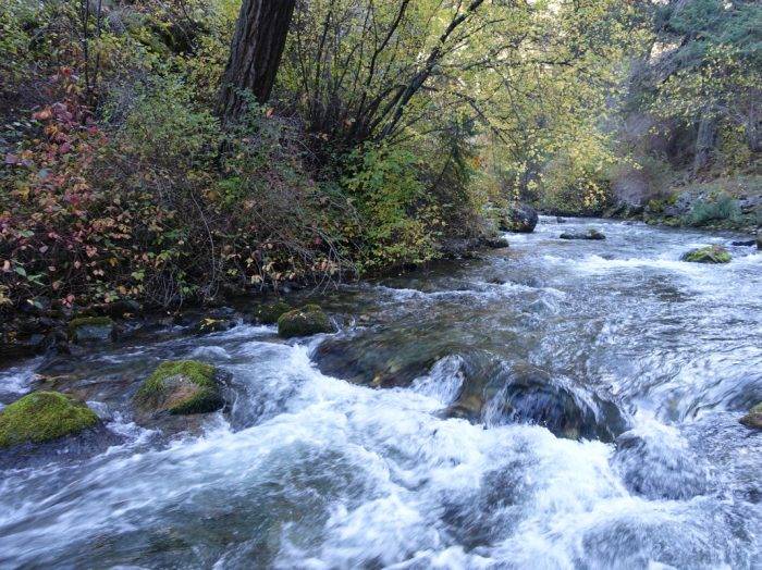Walk along this Wild and Scenic River. Photo Credit: Scott Marchant.