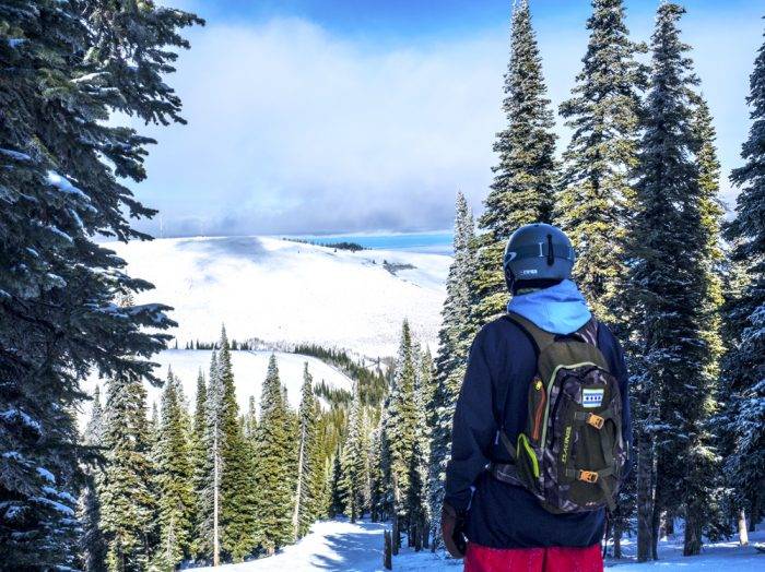 Pick your line. Photo Credit: Local Freshies.