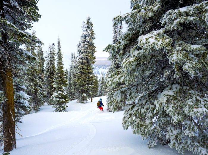 Photo Credit: Local Freshies.