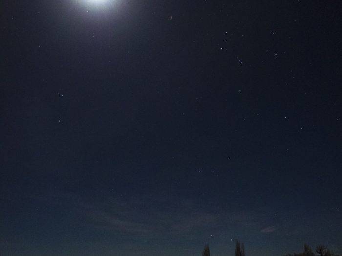 Night time vibes. Photo Credit: Local Freshies.