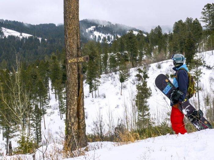 Ready to roll. Photo Credit: Local Freshies.