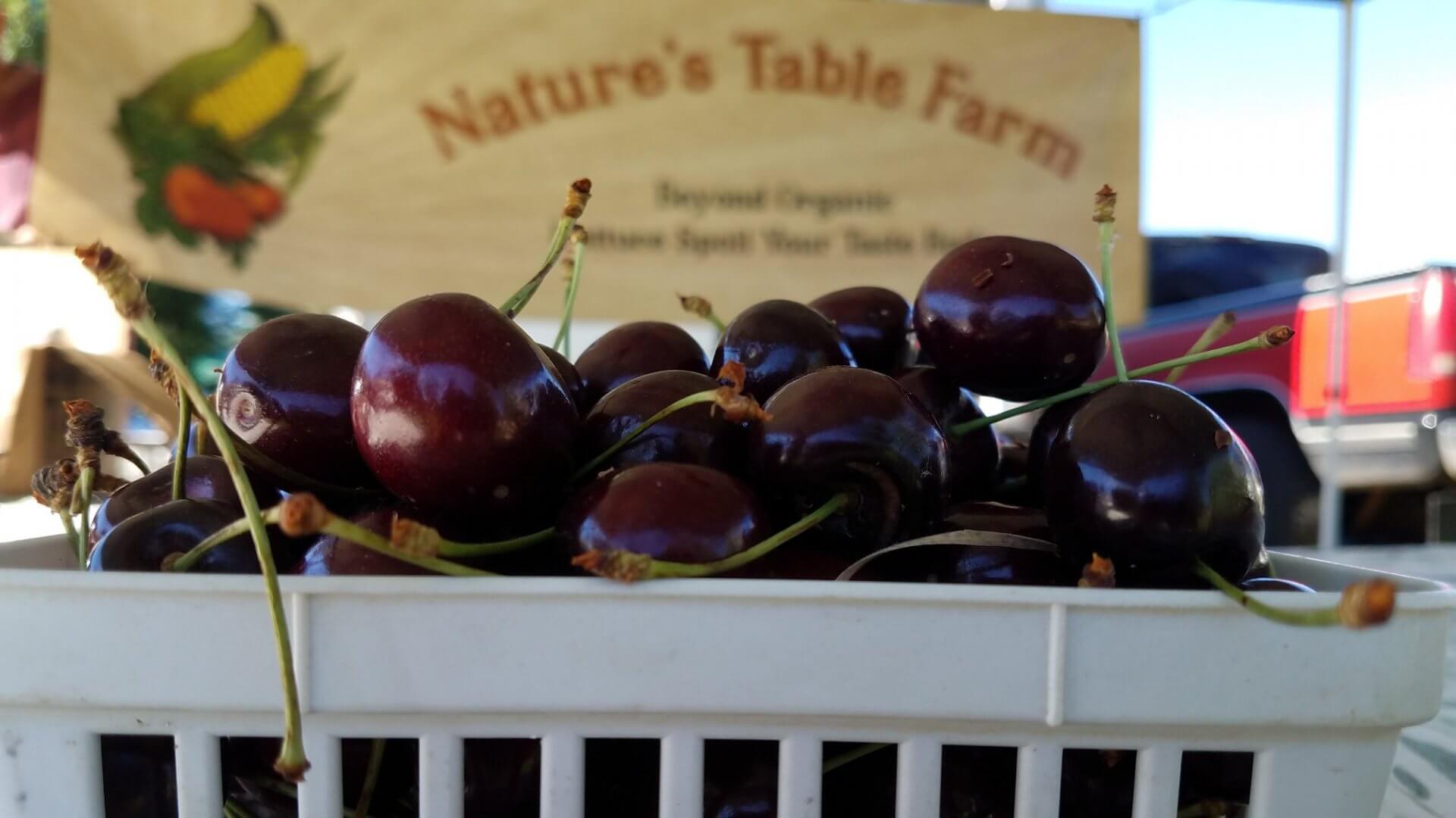 Where To Stay in Donnelly, Idaho Hotels, Lodging & Rentals