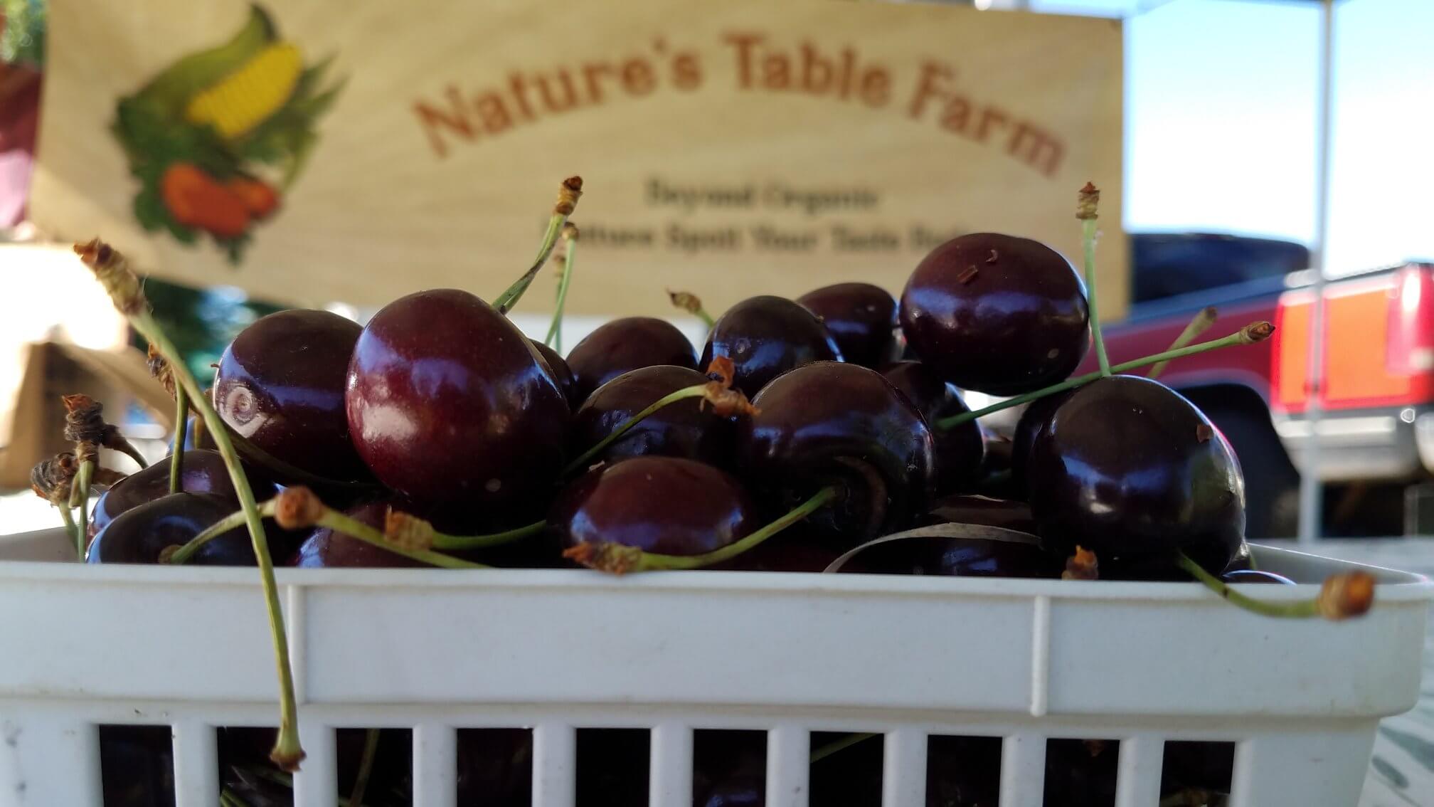 Donnelly Farmers Market Visit Idaho