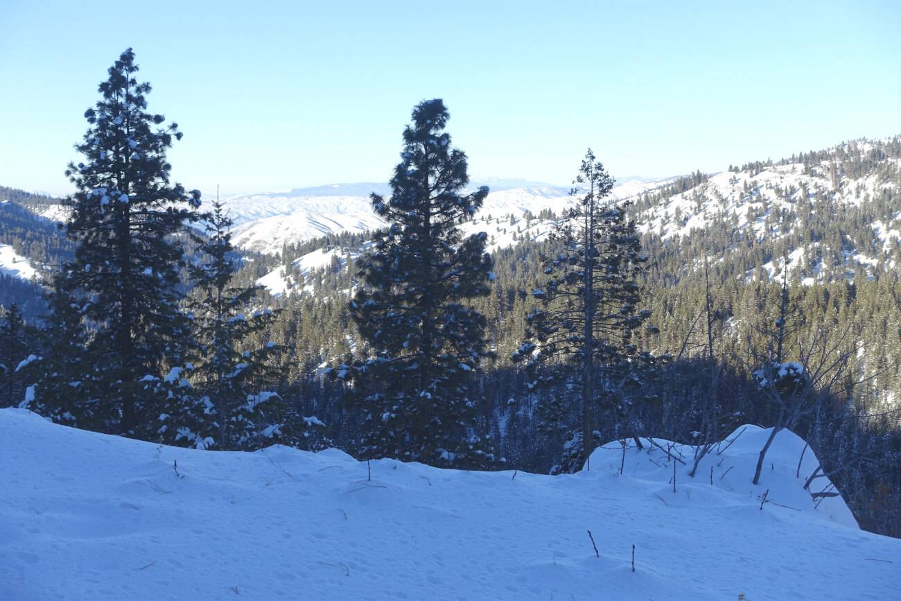 Snowshoe the Winter Blues Away Visit Idaho