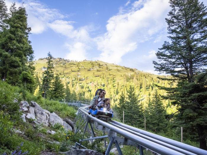 Glade Runner Mountain Coaster, Bogus Basin Mountain Recreation Area, Near Boise. Photo Credit: Idaho Tourism.
