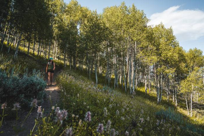 A woman hiking a mountain trail surrounded by tall grass and trees to Marshall Ridge.