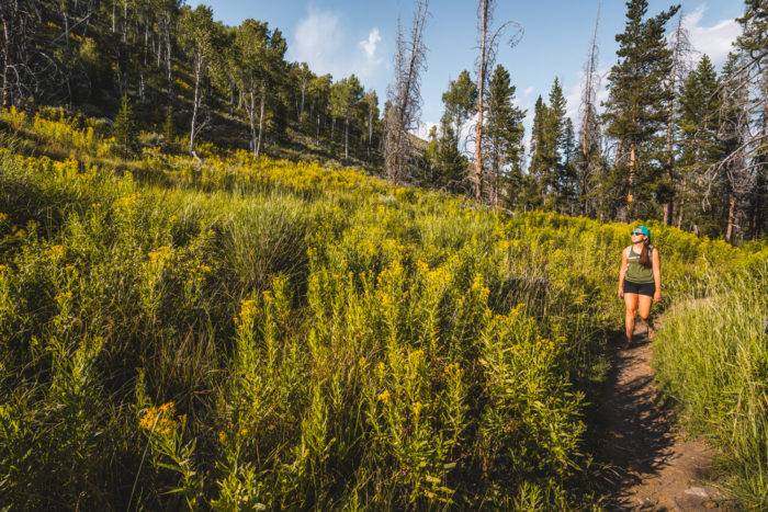 A woman hiking a mountain trail surrounded by grass to Fishhook Creek.