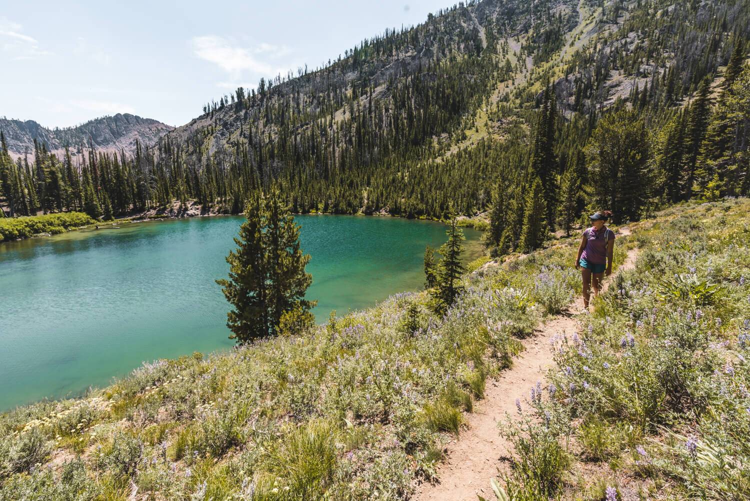 A woman walking on a mountain trail surrounded by tall grass and trees past Titus Lake.