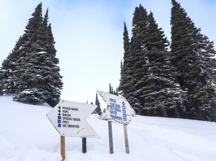 Photo Credit: Local Freshies.