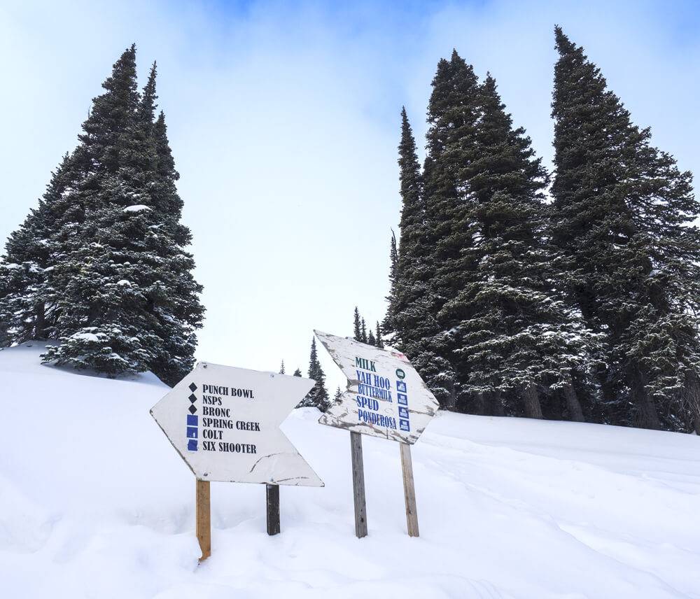 Photo Credit: Local Freshies.