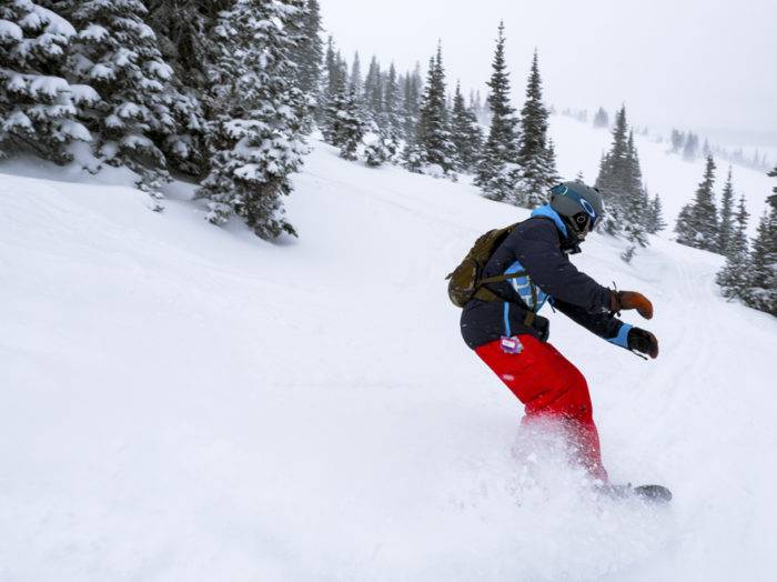 Photo Credit: Local Freshies.