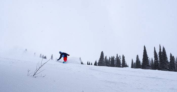 Photo Credit: Local Freshies.