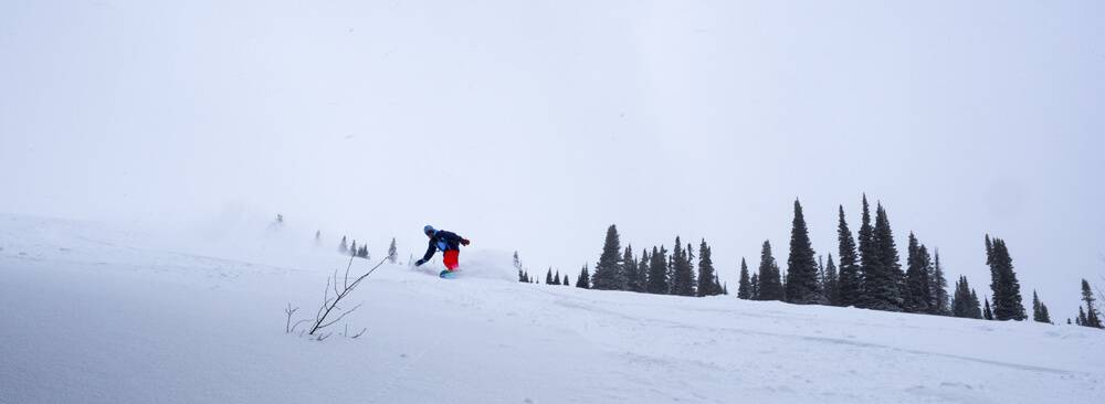Photo Credit: Local Freshies.