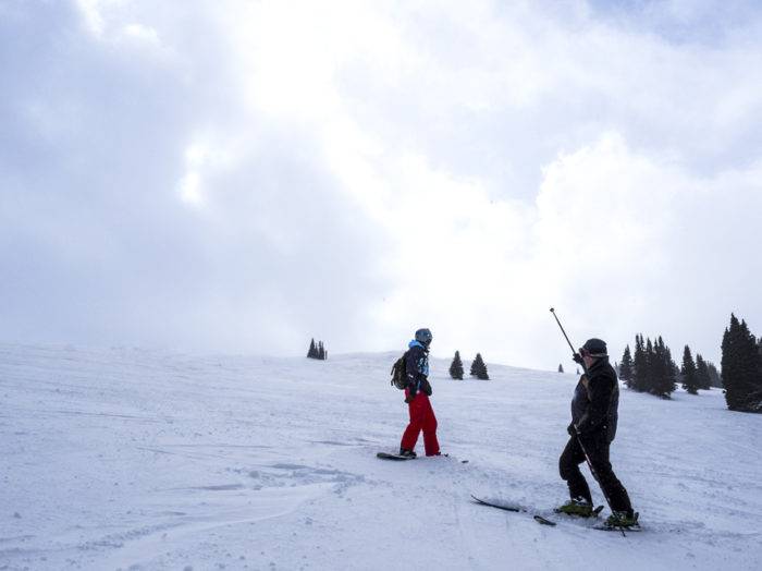 Photo Credit: Local Freshies.