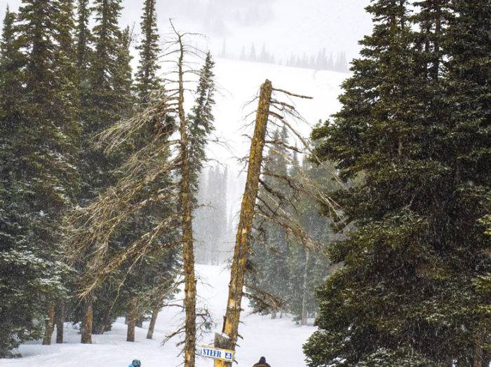 Photo Credit: Local Freshies.