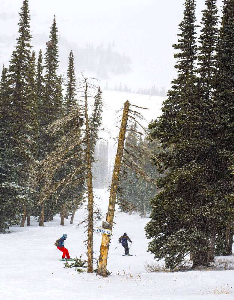 Photo Credit: Local Freshies.