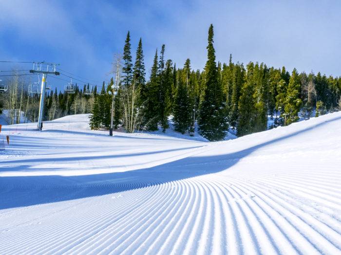 Photo Credit: Local Freshies.