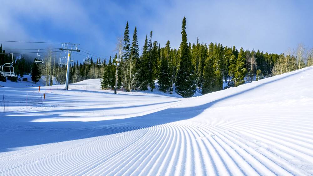 Photo Credit: Local Freshies.