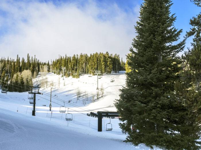 Photo Credit: Local Freshies.