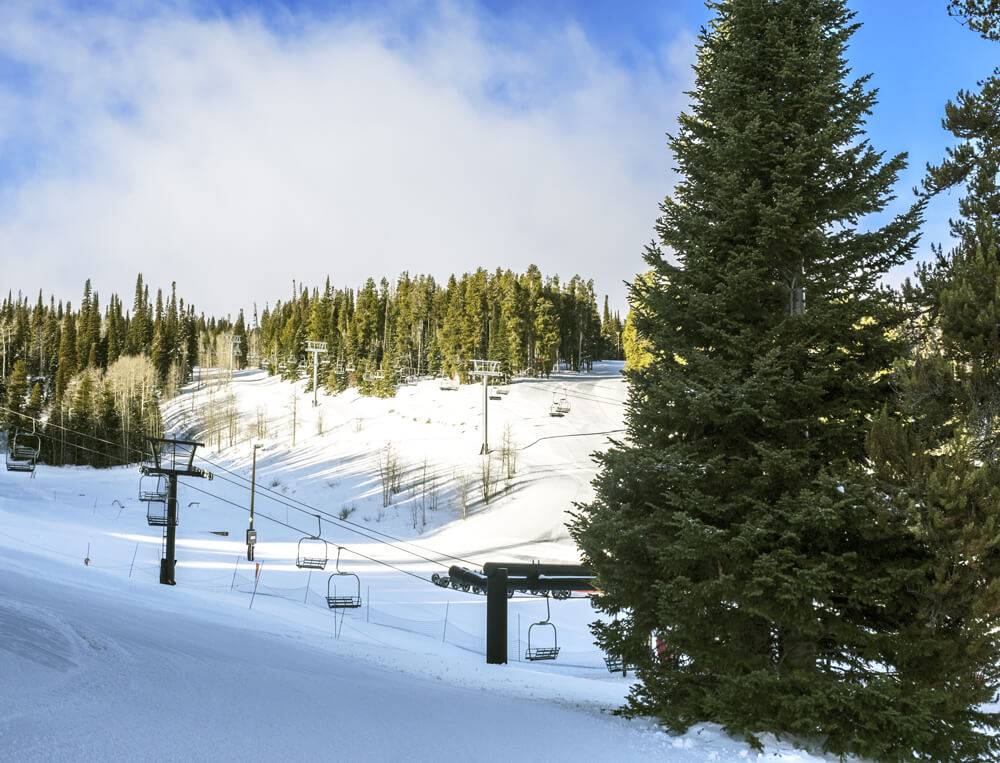 Photo Credit: Local Freshies.