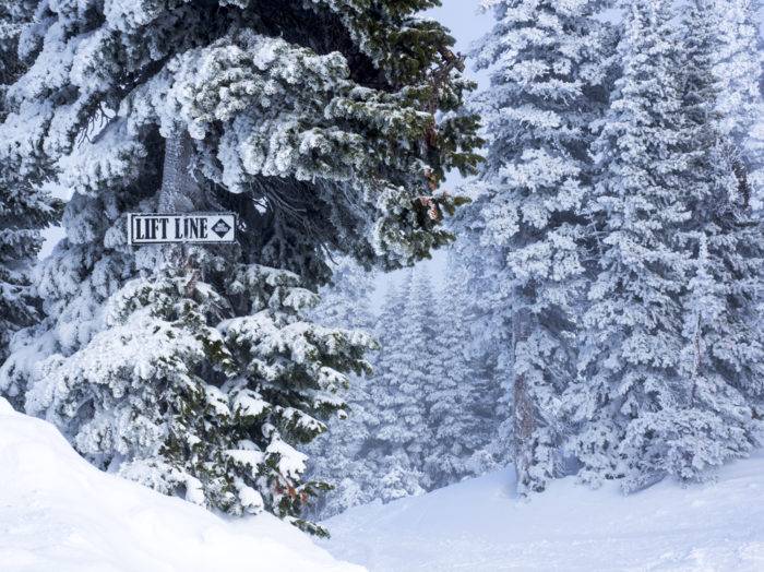 Photo Credit: Local Freshies.