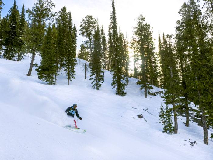 Photo Credit: Local Freshies.