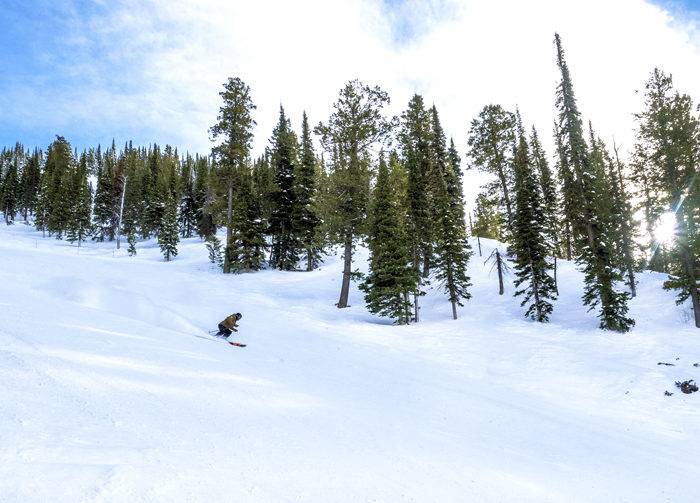 Photo Credit: Local Freshies.
