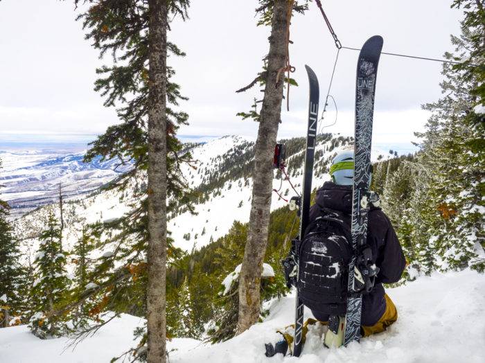 Photo Credit: Local Freshies.