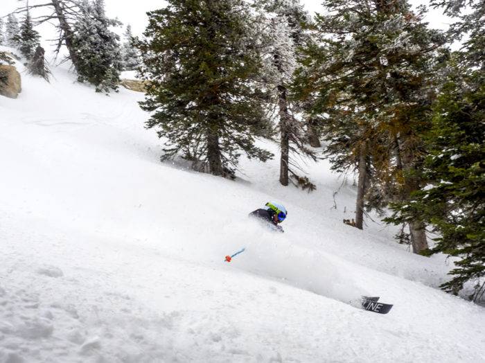 Photo Credit: Local Freshies.
