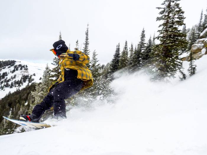 Photo Credit: Local Freshies.