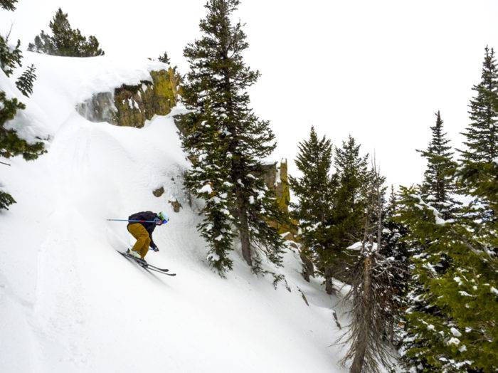 Photo Credit: Local Freshies.