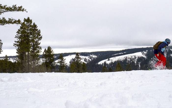 Photo Credit: Local Freshies.