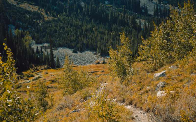 Fall colors pop along the trail. Photo Credit: Sam Brockway.