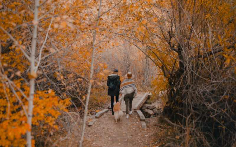 Cozy up along Five Mile Gulch Trail. Photo Credit: Sam Brockway.