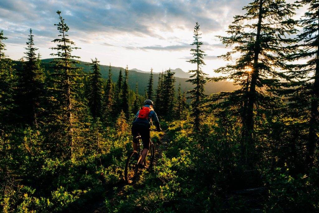 mountain bike rider on forest trail