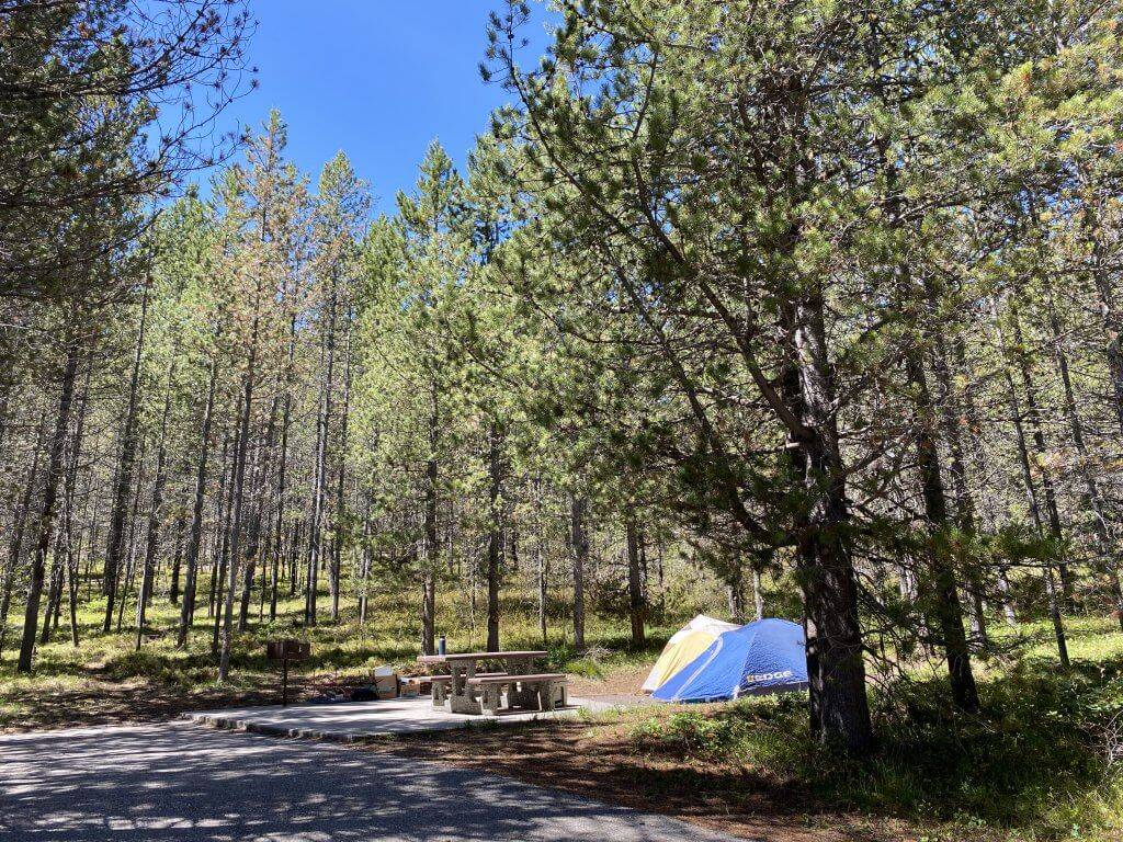 small tent at campsite in the trees