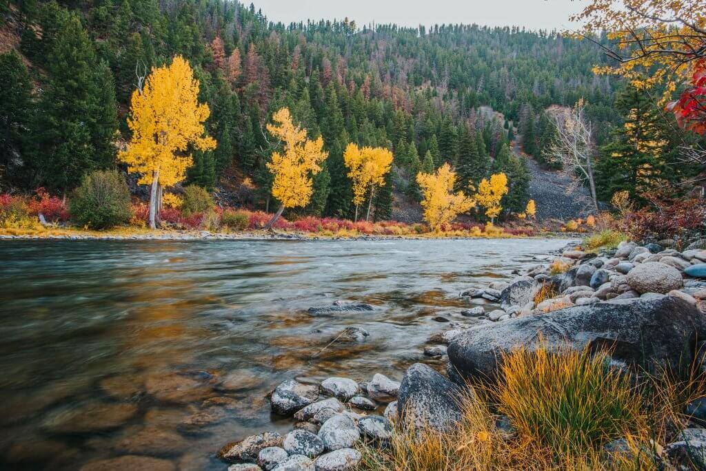 Roadside River Background Pack