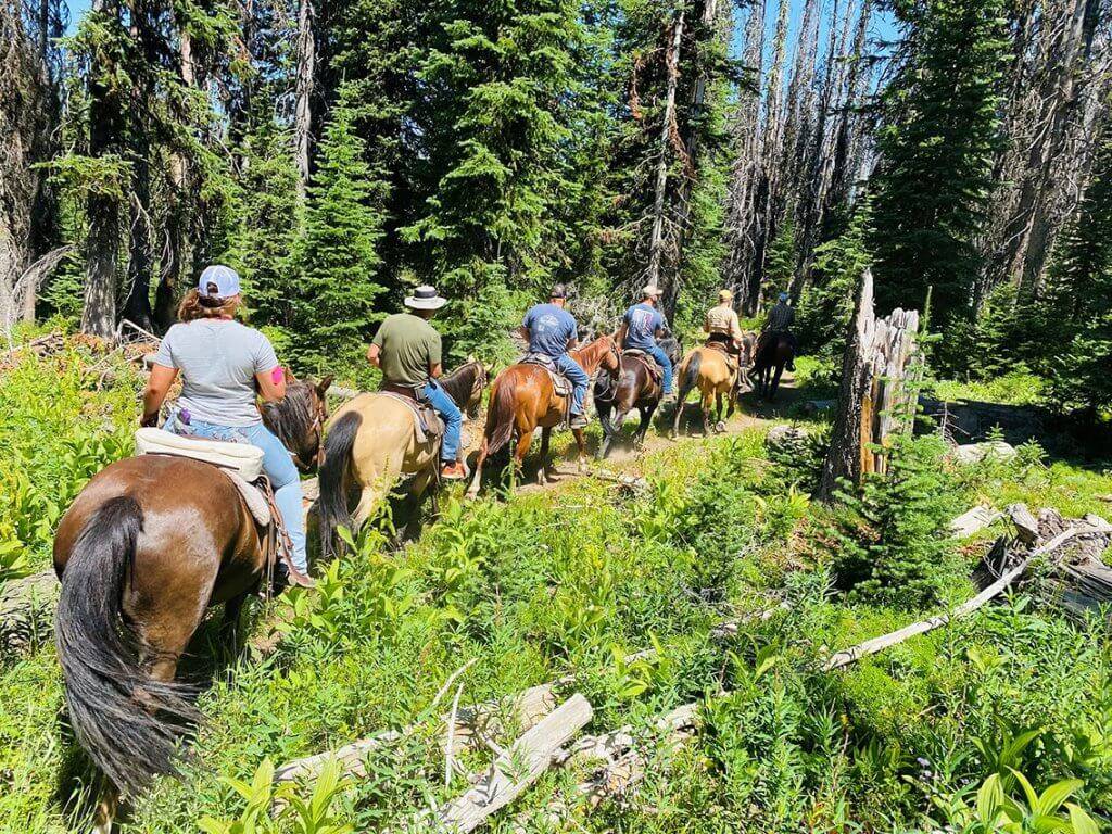 5 people on horseback in forest