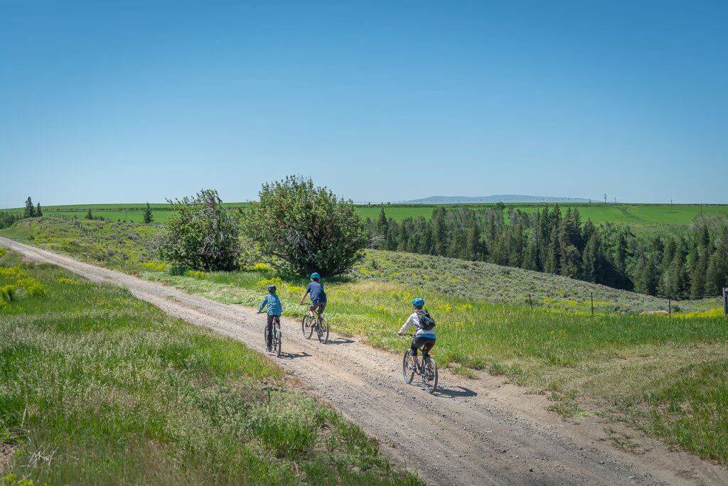three people on bikes on a dirt trail with green fields and trees on the sides