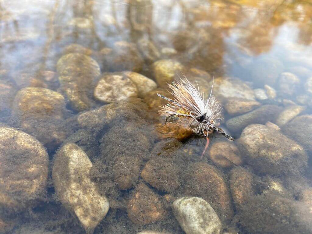 A Stimulator dry fly in a riverbed.