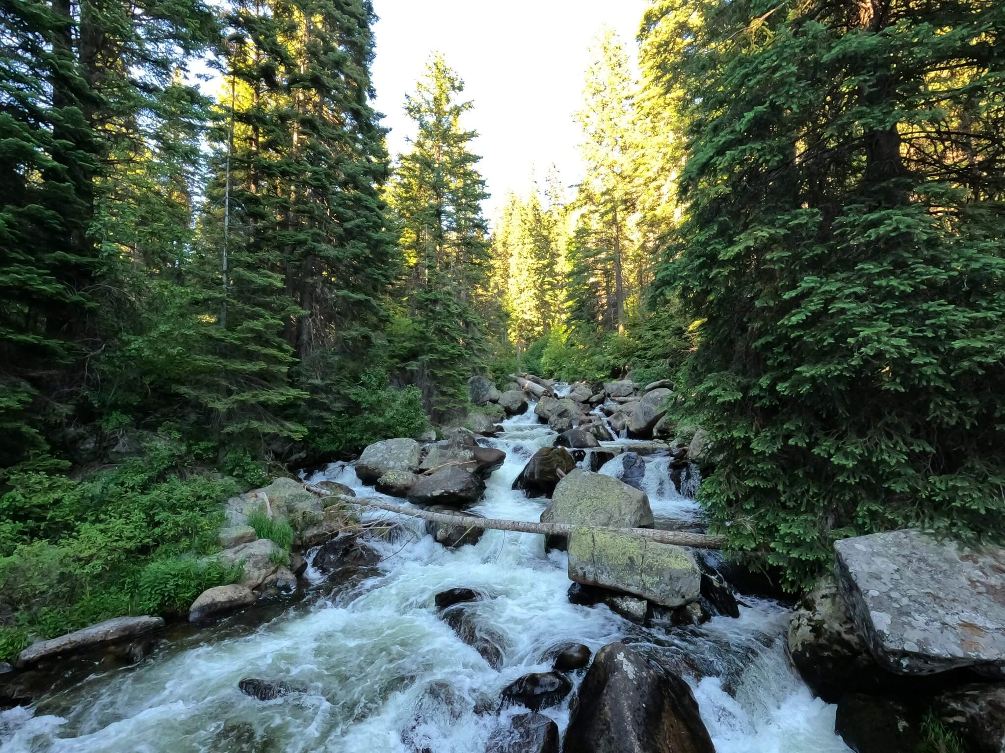 7 Can't Miss Hiking Trails in Southwest Idaho | Where to Hike in Idaho