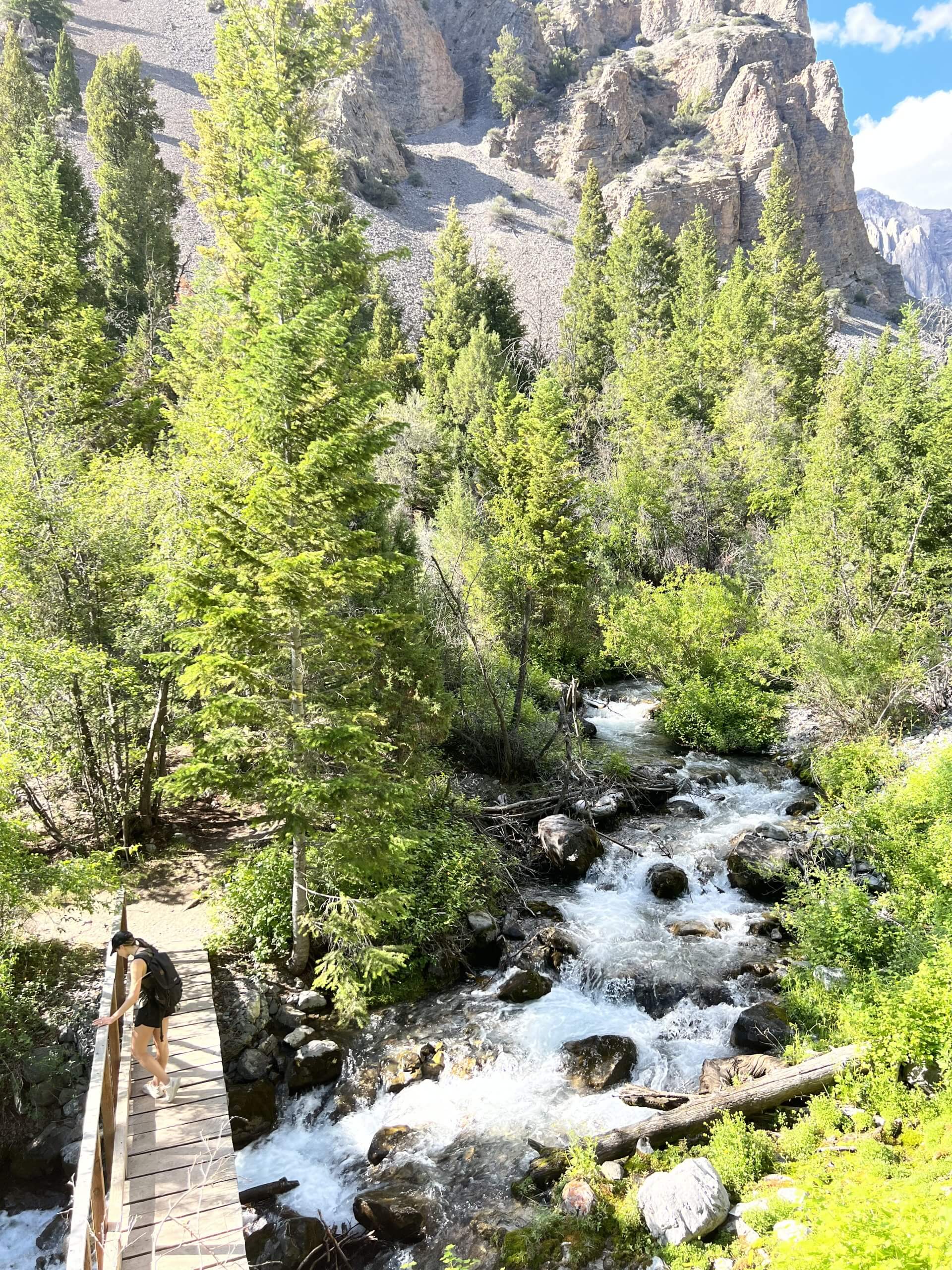 Escape to Idaho's Hidden Gem: Mackay Reservoir State Park