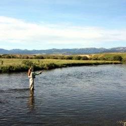 A woman dressed in waders casts a line into the Middle Fork of the Salmon River.