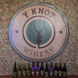 Y Knot Winery tasting room counter with award-winning wine in front.