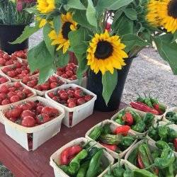 Farm-raised produce and cut flowers for sale sitting on a market stand at the Kootenai County Farmers Market.