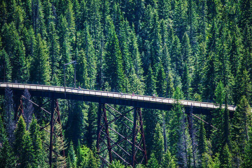 Bikers ride along a sky trestle in a forest.