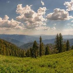 Boise National Forest. Photo credit: Steve Stuebner