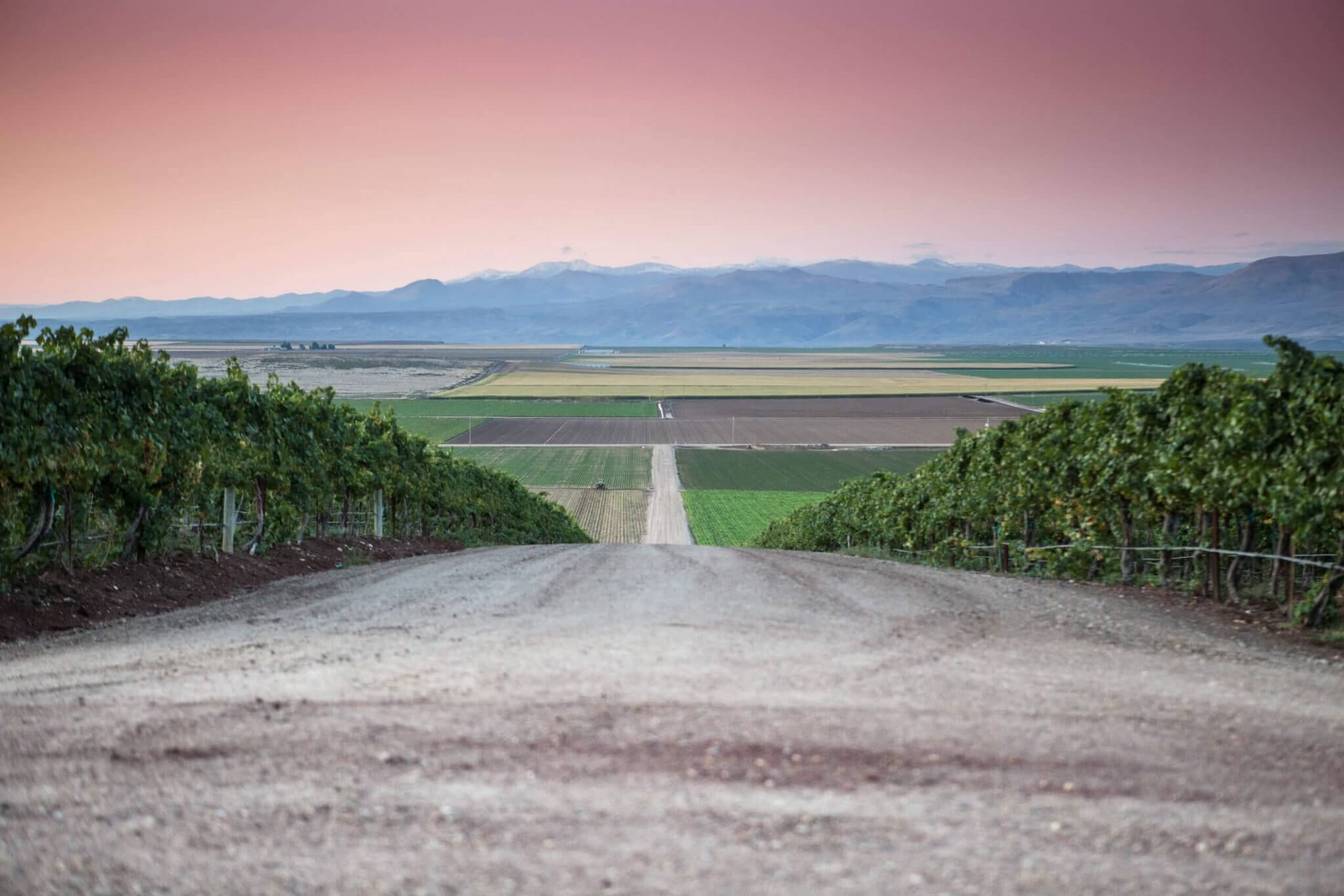 Visit Idaho Wine Country and Savor the Wineries in Idaho