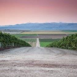 Sunrise View from Sawtooth Winery.